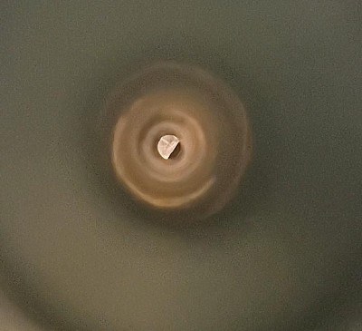 SAVAGE ARMS AXIS 2 PRO .243 WIN - Image 4 of 12