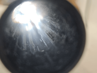 WINCHESTER Model 12 Heavy Duck Magnum 1953 Build 12 GA - Image 7 of 19