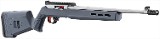 RUGER 10/22 60TH EDITION .22 LR - Image 2 of 2