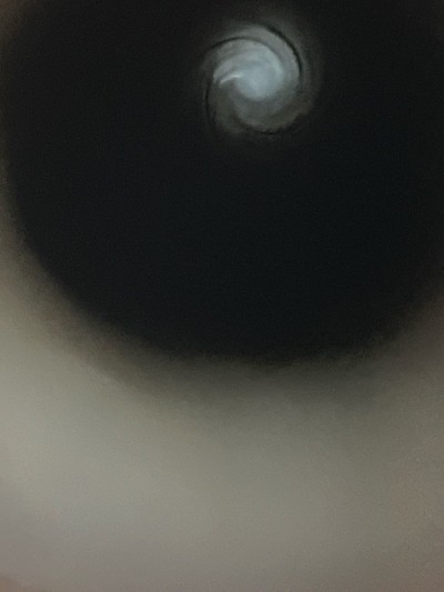 WEATHERBY VANGUARD 3006 SPRI - Image 12 of 12