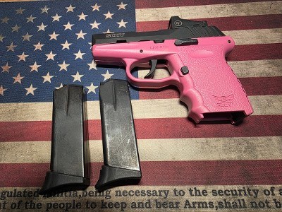 SCCY CPX-2 9MM LUGER (9x19 PARA) - Image 1 of 11