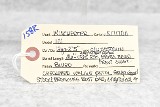 WINCHESTER 101 12 GA - Image 25 of 25