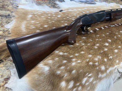 BROWNING BPS MICRO MIDAS 20 GA - Image 1 of 9