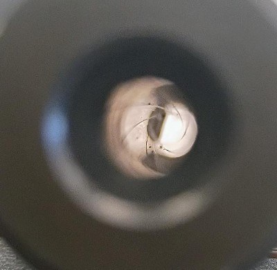 RUGER MARK IV .22 LR - Image 11 of 12