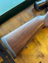 CZ CZ 457 AMERICAN .17 HMR - Image 3 of 3
