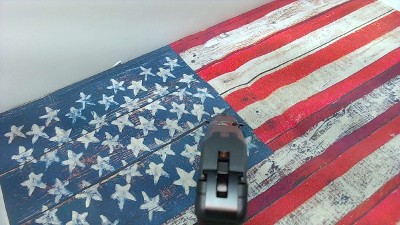 RUGER LCP .380 ACP - Image 5 of 9
