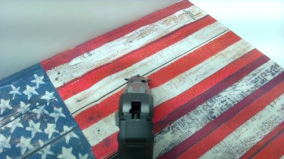 RUGER LCP II .22 S/L/LR - Image 6 of 9