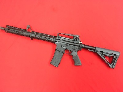 PALMETTO STATE ARMORY PA-15 - RIFLE MULTI - Image 1 of 12