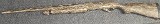 BENELLI NOVA 12 GA - Image 2 of 6
