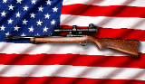 RUGER 10/22 .22 LR - Image 1 of 2