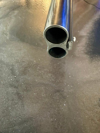 SAVAGE ARMS FOX MODEL B 20 GA - Image 11 of 12