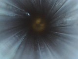 SAVAGE ARMS 12 .22-250 REM - Image 25 of 25