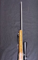 RUGER M77 MKII ALL WEATHER .22-250 REM - Image 2 of 7