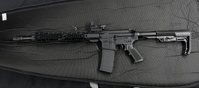 PALMETTO STATE ARMORY PA-15 5.56X45MM NATO - Image 1 of 15