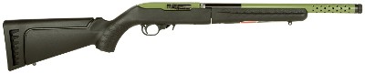 RUGER 10/22 TAKEDOWN LITE .22 LR