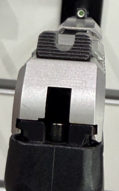 RUGER LCP Max .380 ACP - Image 7 of 9