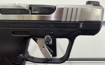 RUGER LCP Max .380 ACP - Image 2 of 9