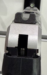 RUGER LCP Max .380 ACP - Image 7 of 9