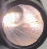 SMITH & WESSON 2.0 45 45 ACP (45 Auto) - Image 12 of 12