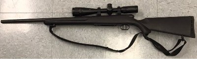 SAVAGE ARMS M25 .17 HORNET - Image 1 of 7