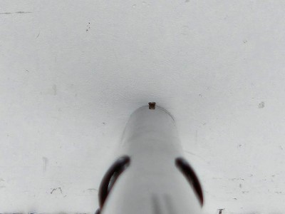 WINCHESTER 1897 12 GA - Image 12 of 12