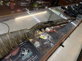 RETAY USA GORDION [MONB] 12 GA - Image 1 of 5