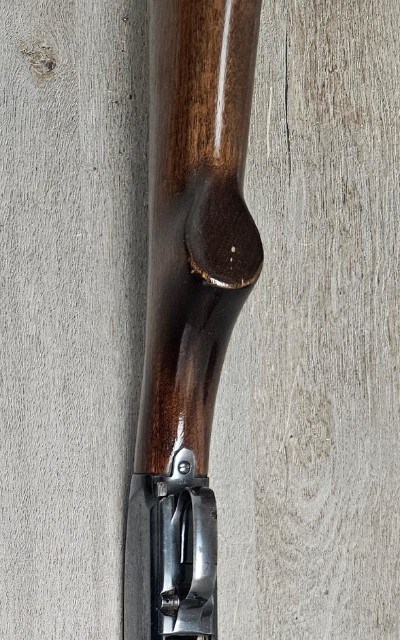 WINCHESTER 12 12 GA - Image 16 of 18