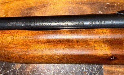REMINGTON Model 740 .244 REM - Image 12 of 17