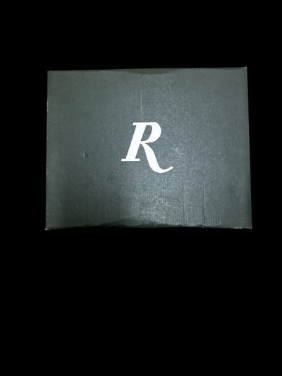 REMINGTON RP9 9MM LUGER (9X19 PARA) - Image 1 of 4
