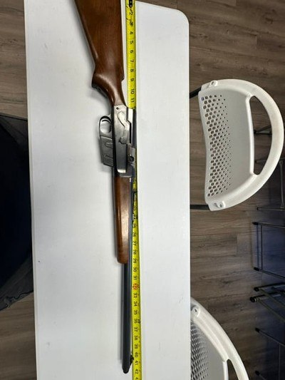 REMINGTON Model 81 Woodsmaster .30 REM - Image 1 of 24