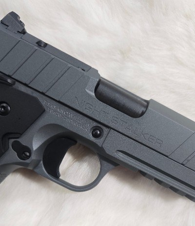 TISAS Night Stalker 10MM - Image 3 of 5