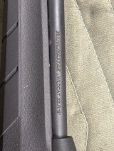 WINCHESTER WILDCAT STRATS SR, S 22LR .22 LR - Image 3 of 3