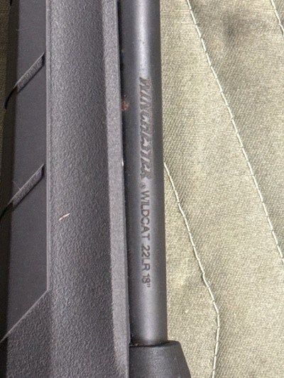 WINCHESTER WILDCAT STRATS SR, S 22LR .22 LR - Image 3 of 3