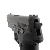 SIG SAUER P229 .40 S&W - Image 10 of 18