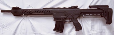 SILVER EAGLE EVO 12 12 ga - Image 2 of 7