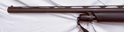 STOEGER P350 12 ga - Image 5 of 17