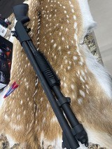MOSSBERG 590 12 GA - Image 5 of 7