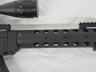 RUGER SR22 10/22 w/Magazine, BSA Scope .22 LR - Image 12 of 12