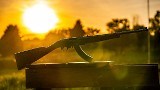 RUGER 10/22 .22 LR - Image 9 of 9