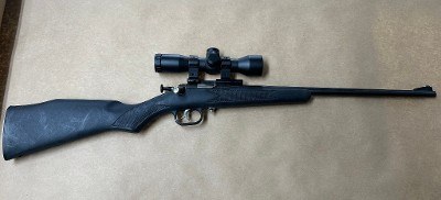 KEYSTONE SPORTING ARMS CRICKETT SYNTHETIC SINGLE SHOT .22 LR - Image 1 of 6
