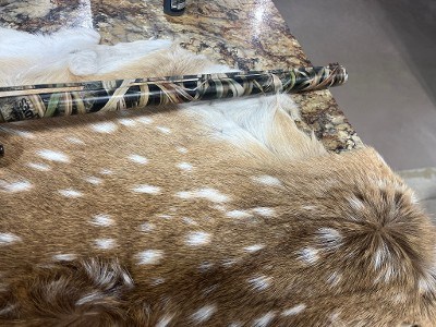 WINCHESTER SX4 12 GA - Image 5 of 12