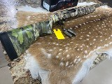 WINCHESTER SX4 12 GA - Image 1 of 12