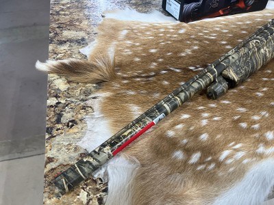 WINCHESTER SXP 12 GA - Image 12 of 15