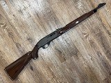 REMINGTON Nylon 66 .22 LR - Image 1 of 9