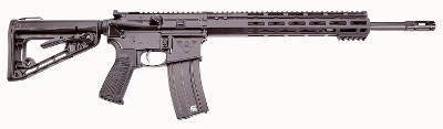 WILSON COMBAT PROTECTOR ELITE CARBINE .300 HAM&sbquo;R - Image 1 of 1