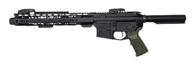 PALMETTO STATE ARMORY PA-15 Multi - Image 1 of 7