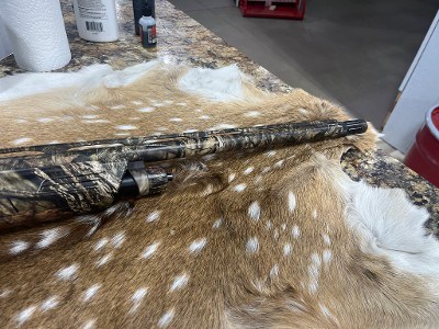 WINCHESTER SXP LONG BEARD 12 GA - Image 4 of 12