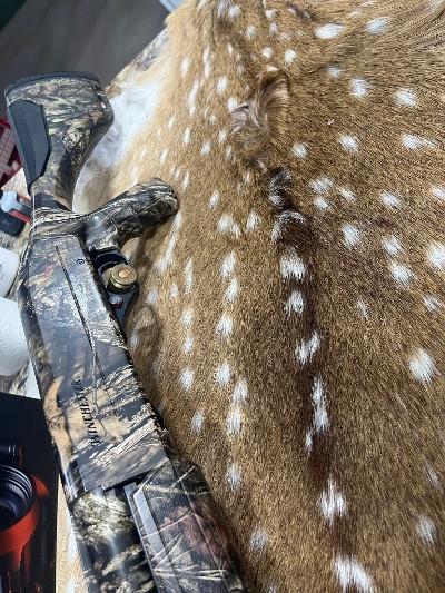 WINCHESTER SXP LONG BEARD 12 GA - Image 8 of 12