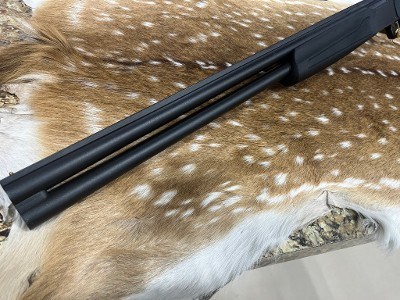 STOEGER CONDOR FIELD 12 GA - Image 16 of 18