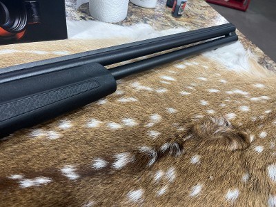 STOEGER CONDOR FIELD 12 GA - Image 5 of 18